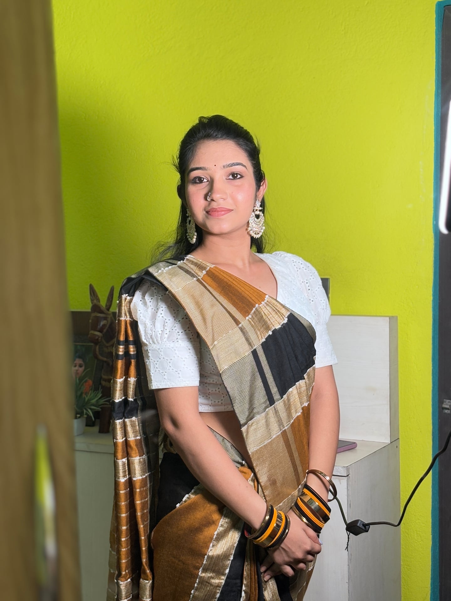 Bengal Handloom Silk in Earthy Stripes