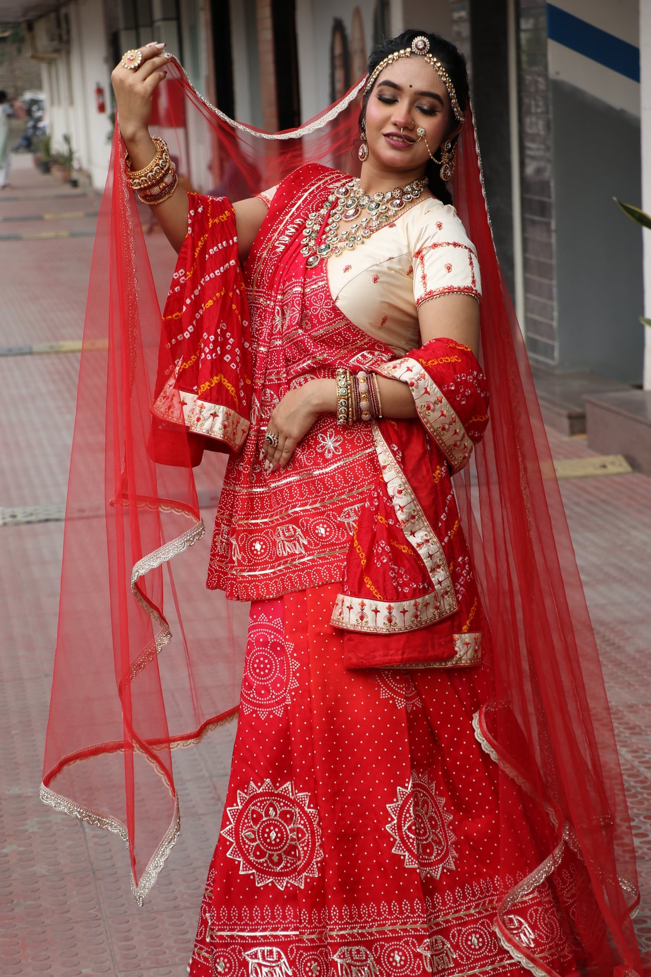 Graceful Bridal Profile with Veil